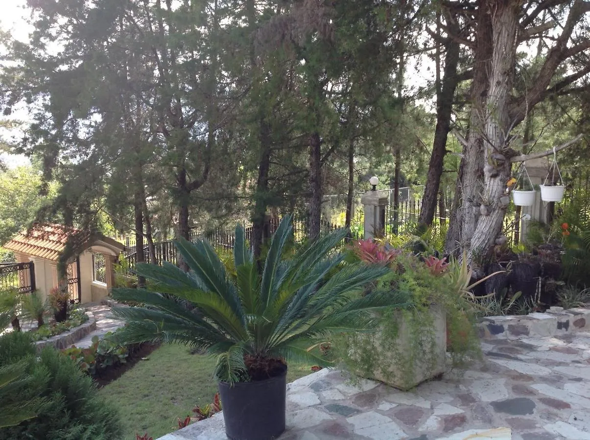 Villa Paloma/ Home/ Office-Remote Office Constanza 0*,  Dominican Republic