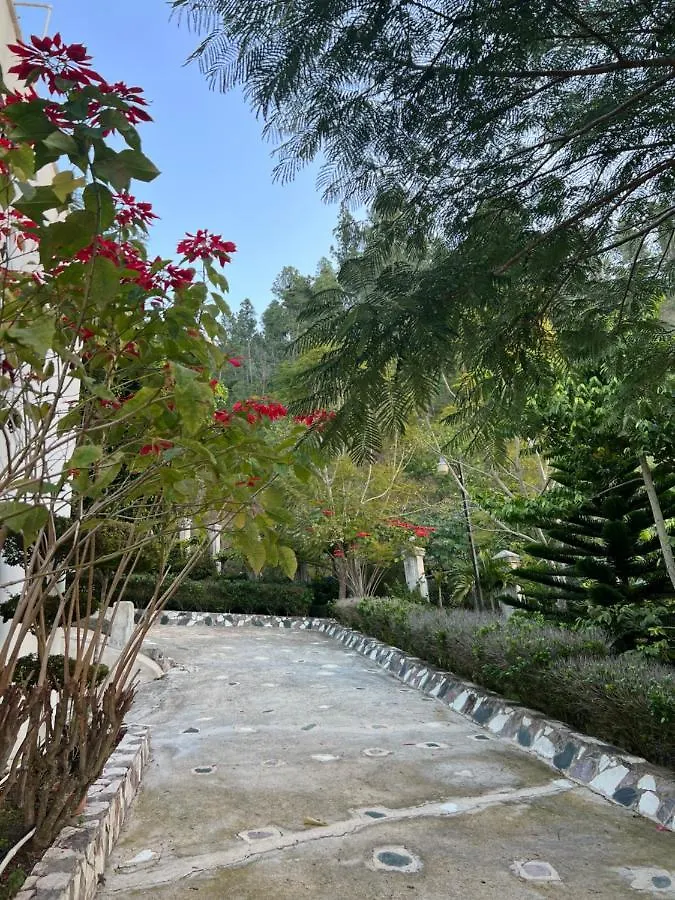 Villa Paloma/ Home/ Office-Remote Office Constanza Dominican Republic