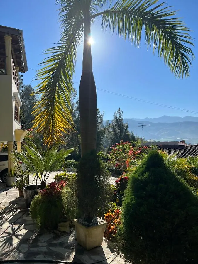 Villa Paloma/ Home/ Office-Remote Office Constanza Dominican Republic
